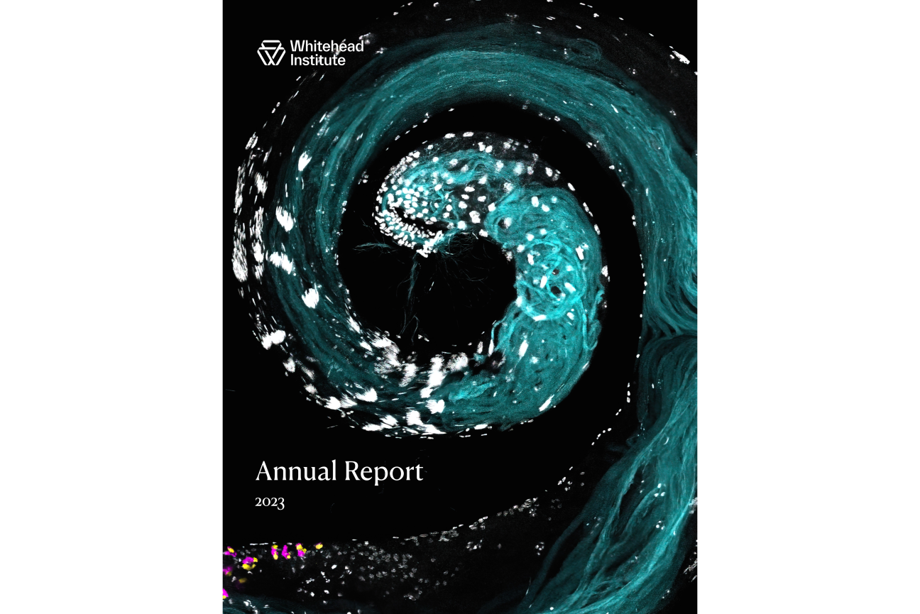 Explore The Whitehead Institute 2023 Annual Report Whitehead Institute 3242